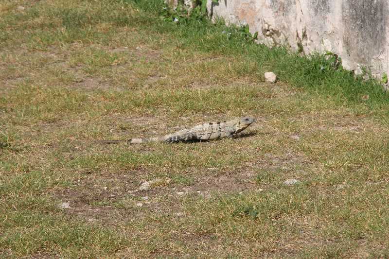 Mexico & Guatemala 2010 - 0153